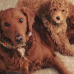 Meet your Posher, Maureen